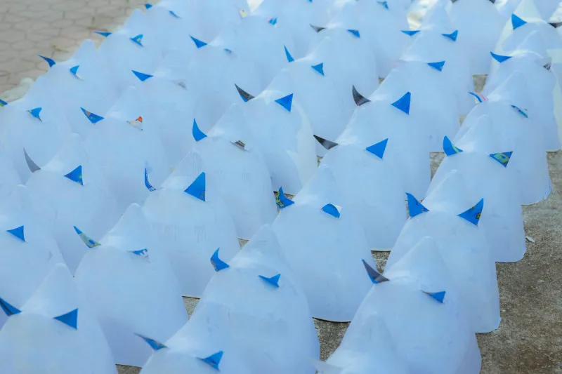 Green Canvas: How Contemporary Artists Are Turning Environmental Urgency Into Enduring Art